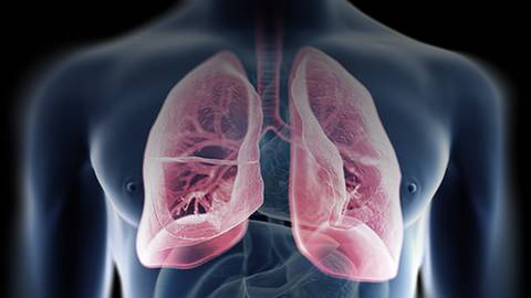 Exploring Advances in Treatment: A Step Forward in Small Cell Lung Cancer