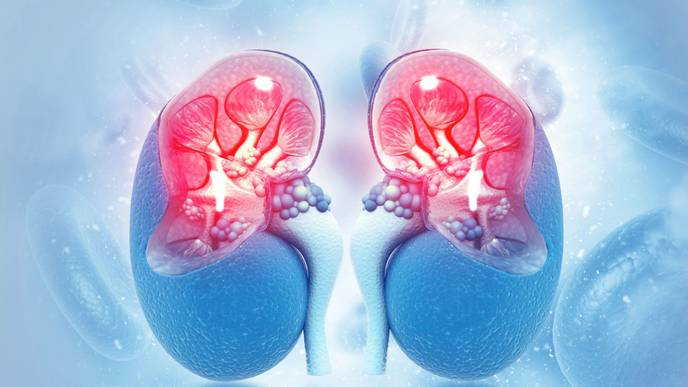 ReachMD Healthcare Image