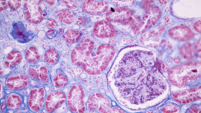 ReachMD Healthcare Image