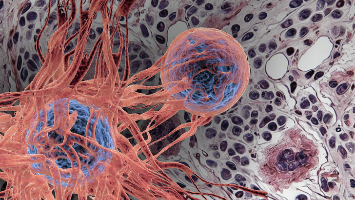 ReachMD Healthcare Image