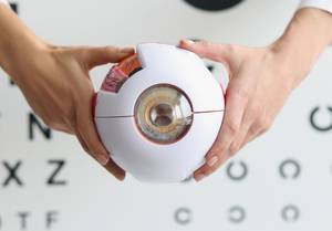 Breast Cancer's Reality Check: Separating Facts from Fiction for Patients