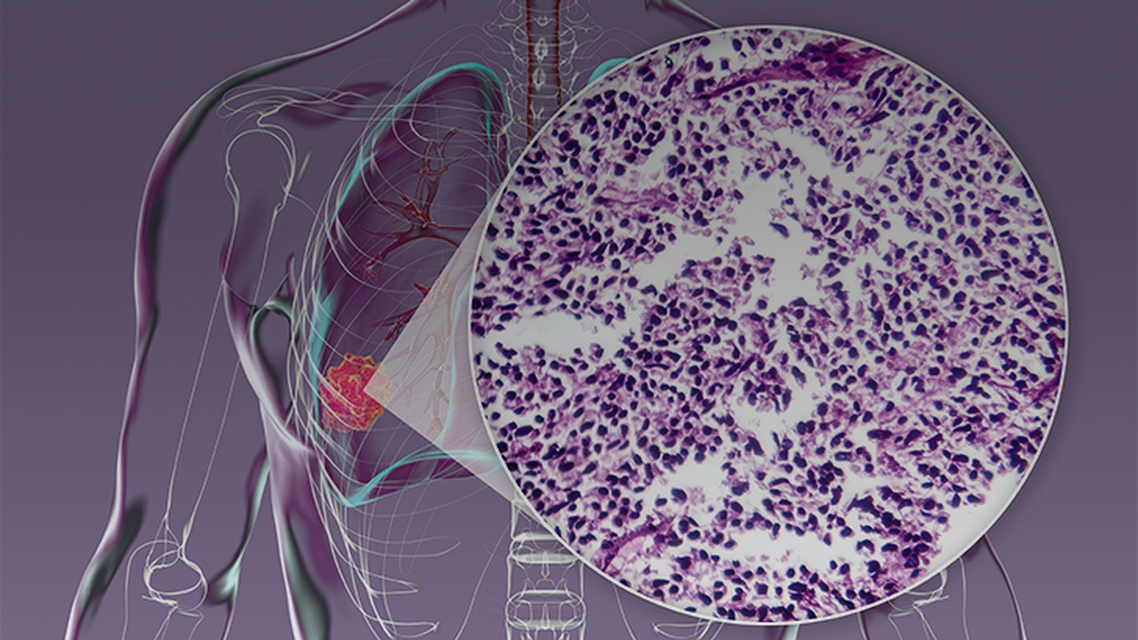 ReachMD Healthcare Image