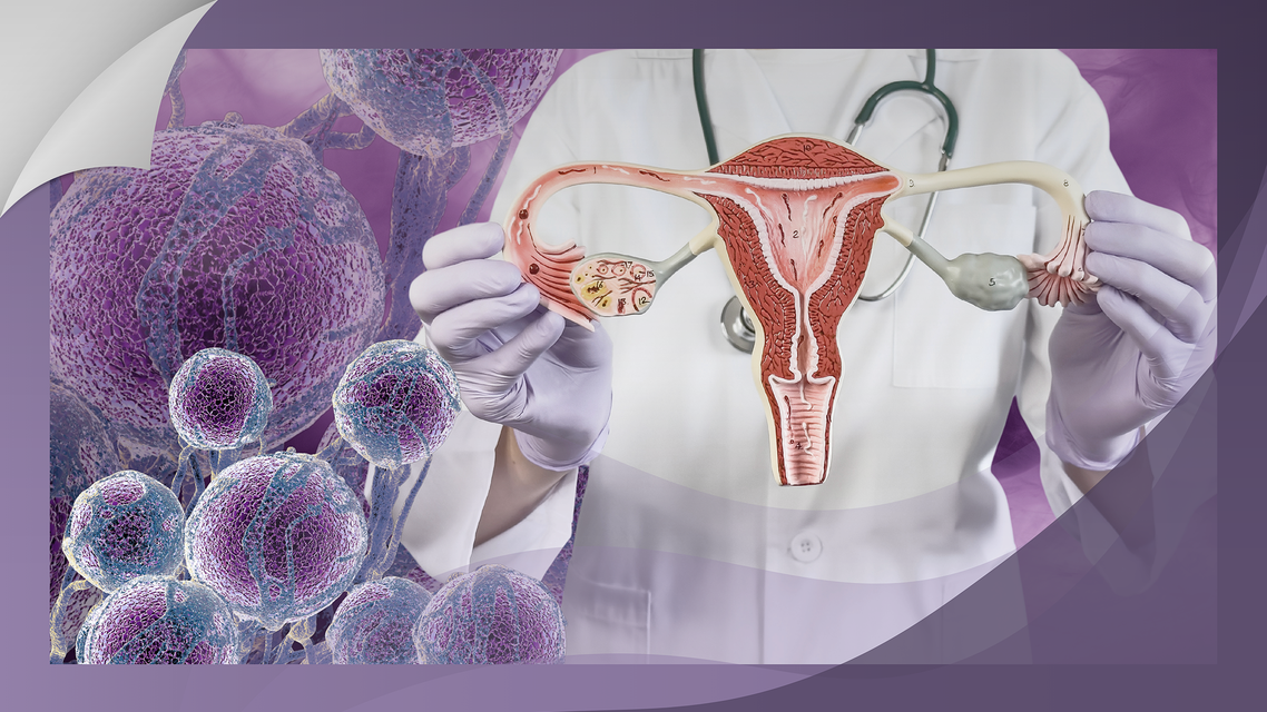 ReachMD Healthcare Image