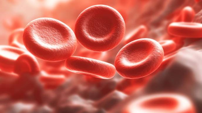 ReachMD Healthcare Image