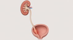 robotic versus laparoscopic radical nephroureterectomy in utuc t3 ivr signal