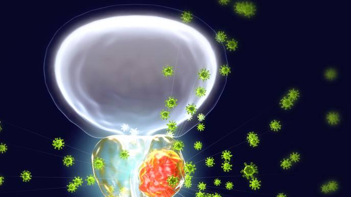 ReachMD Healthcare Image