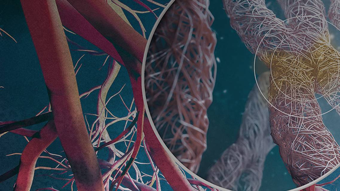 ReachMD Healthcare Image