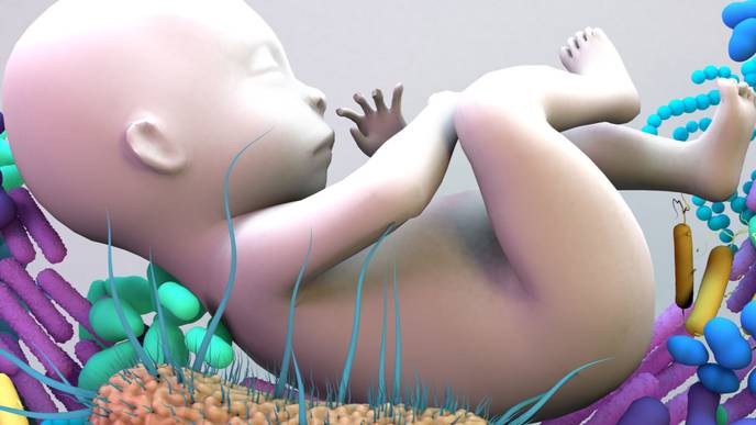 ReachMD Healthcare Image