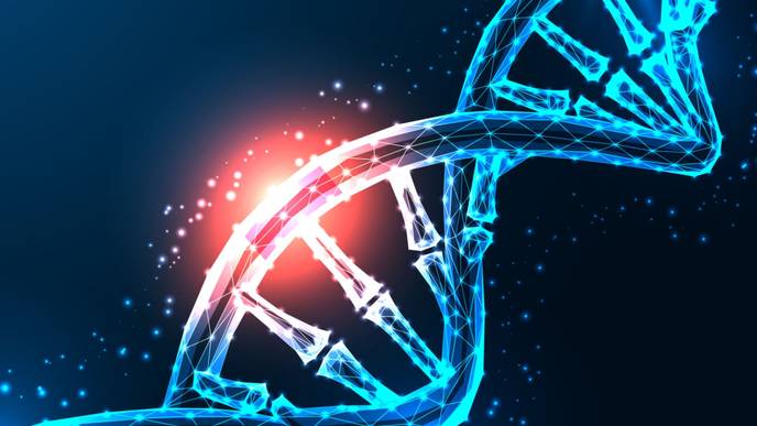 ReachMD Healthcare Image