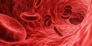 TROP2-Directed ADCs in Breast Cancer