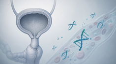 ctdna guided atezolizumab extends survival after cystectomy