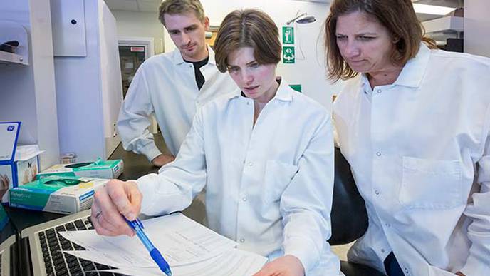 ReachMD Healthcare Image