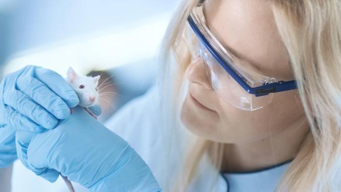 New Study Discovers Why Some Cancer Drugs Work on Mice, But Not People