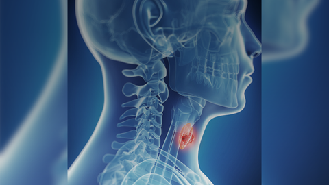 ReachMD Healthcare Image