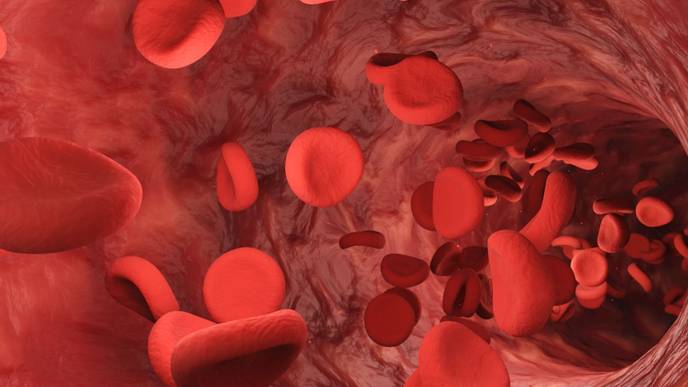 ReachMD Healthcare Image