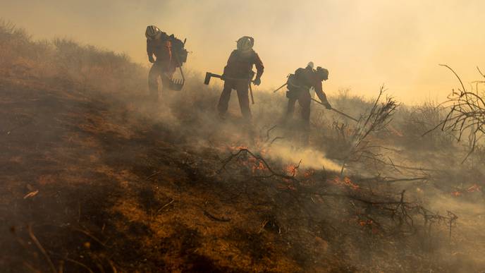 What to Know About Wildfire Smoke & COVID-19