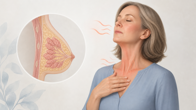 elinzanetant eases vasomotor symptoms in breast cancer trial