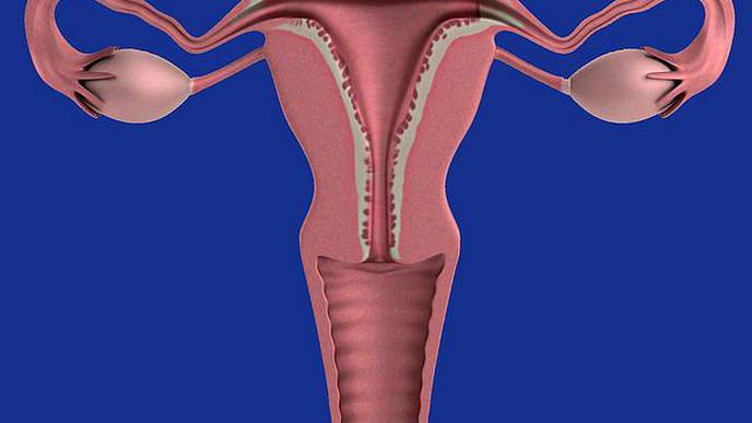 Verastem Oncology Receives Breakthrough Therapy Designation for VS-6766 with Defactinib in Recurrent Low-Grade Serous Ovarian Cancer
