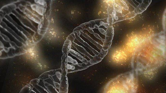 Next-Generation Sequencing to Provide Precision Medicine for Rare Metabolic Disorders