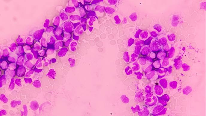 ReachMD Healthcare Image