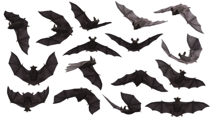 Bats & Pangolins in Southeast Asia Harbour SARS-CoV-2-Related Coronaviruses, Reveals New Study