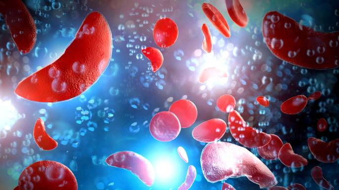 ReachMD Healthcare Image