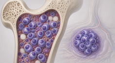 talquetamab and teclistamab show early signal in myeloma