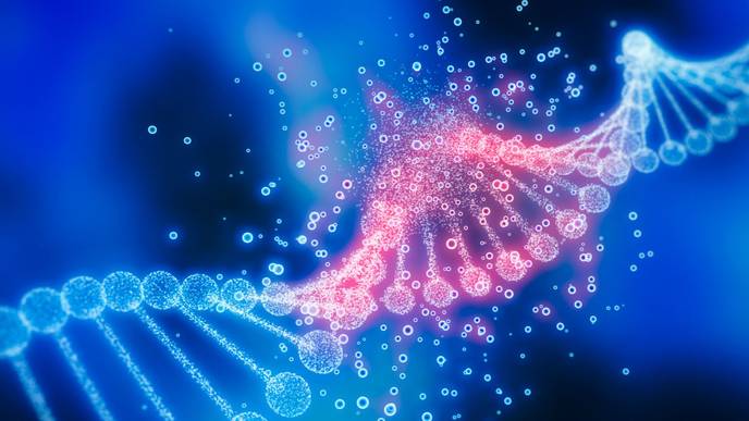 ReachMD Healthcare Image