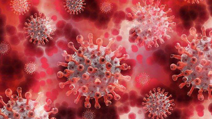Protein Identified As New Therapeutic Anti-Viral Target for COVID-19