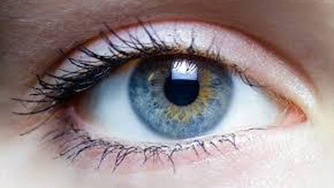 Scientists Rescue Mini Retinas from Eye Disease Via New Gene Therapy Approach
