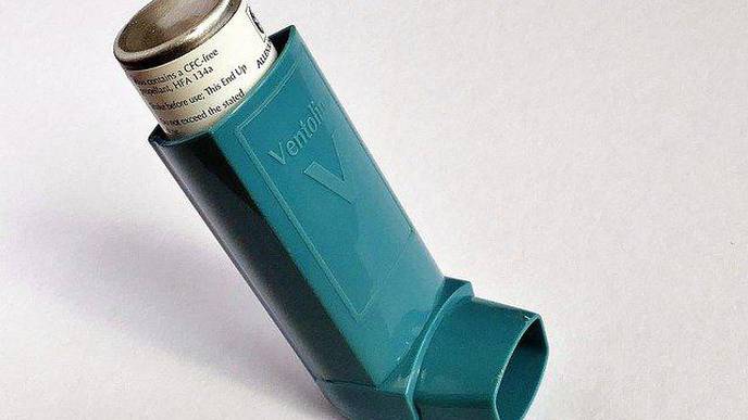 Molds Damage the Lung’s Protective Barrier to Spur Future Asthma Attacks