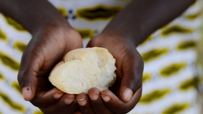 ReachMD Healthcare Image