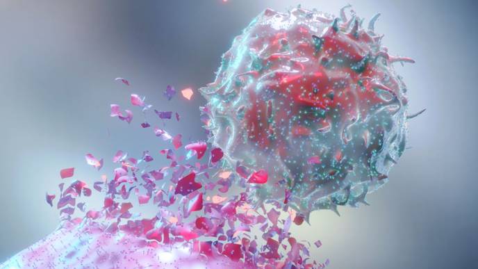 ReachMD Healthcare Image