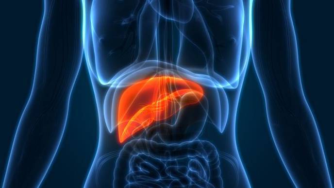 Is a Breakthrough Approach to Diagnosing Liver Cancer on Its Way?