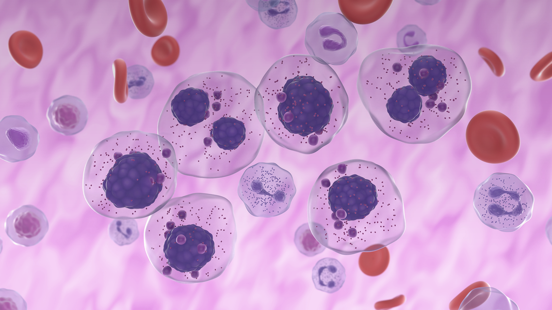 ReachMD Healthcare Image