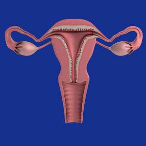 Pediatric Oncofertility: Key Considerations & Procedures