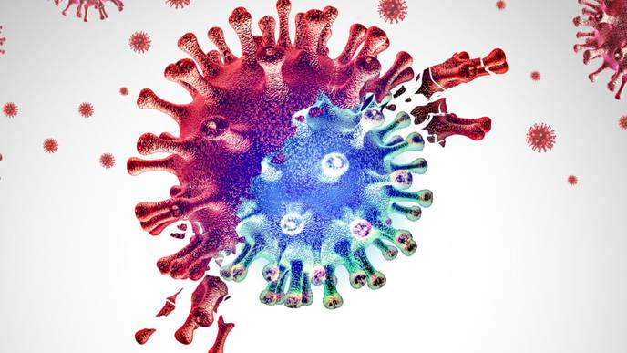 ReachMD Healthcare Image