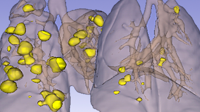 ReachMD Healthcare Image