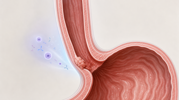 zanidatamab regimens vs trastuzumab in her2 positive gea