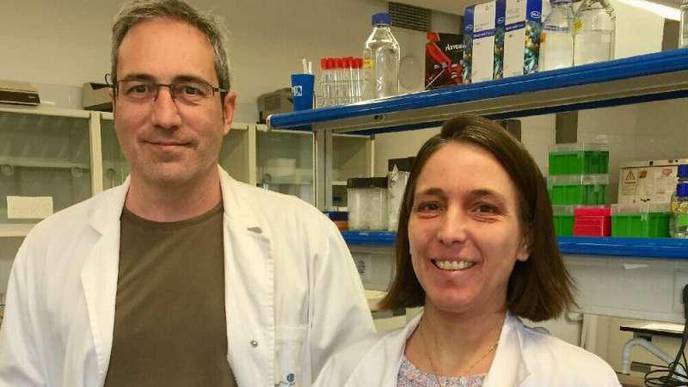 International Study Describes 109 Genetic Variants Associated with 8 Psychiatric Disorders
