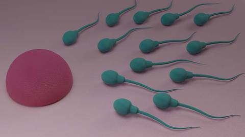 A Look at the Emerging Field of Oncofertility
