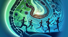 exercise gut microbiome cancer treatment