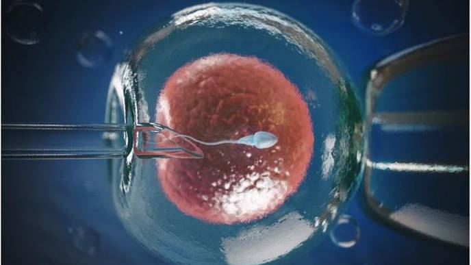 Accurate 3D Imaging of Sperm Cells Moving at Top Speed Could Improve IVF Treatments