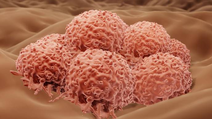 ReachMD Healthcare Image