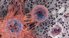 ReachMD Healthcare Image