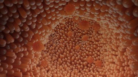 Treatment of Patient With Low Risk of Gastrointestinal Absorption Impairment for Established VTE With Cancer