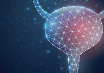 Understanding the Expanding Role of Anitbody-Drug Conjugates in Bladder Cancer (CME)