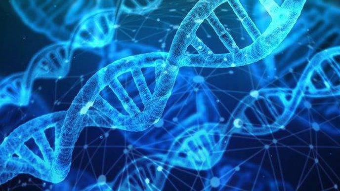 Nox4 Protein Can Be Used as a Marker to Predict Untreatable Kidney Cancer
