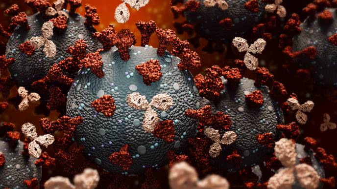 ReachMD Healthcare Image