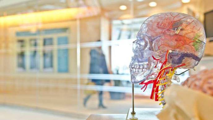 Tracer Molecule May Improve Imaging Tests for Brain Injury